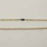 779 5307 PEARL NECKLACE